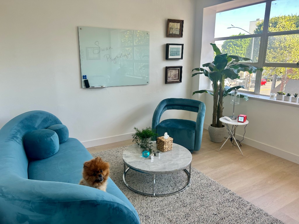 Swan Psychology Beverly Hills therapy office — bright session space with floor-to-ceiling windows, natural light, and comfortable teal seating